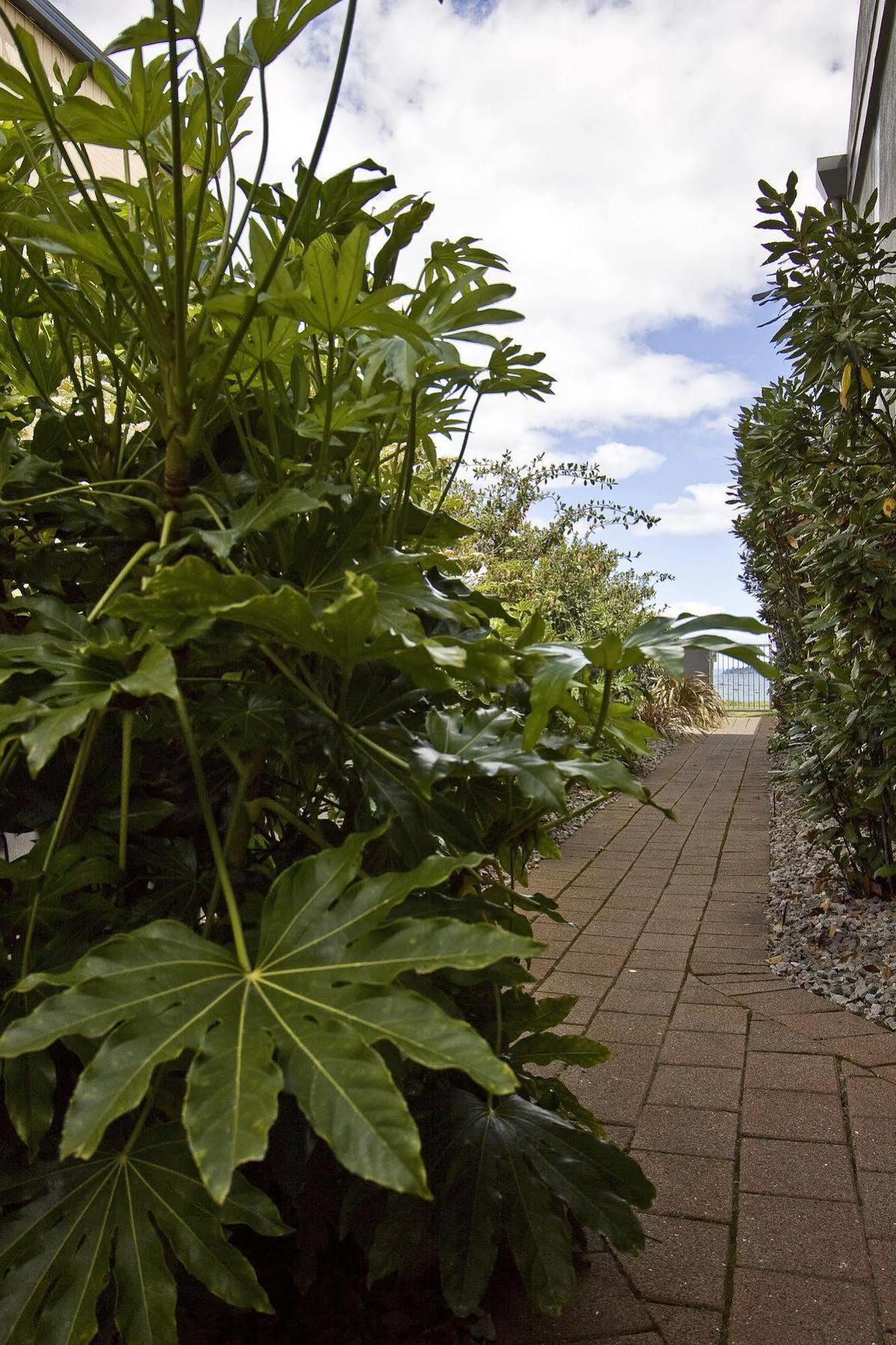 Clearwater Motor Lodge Taupo Zewnętrze zdjęcie